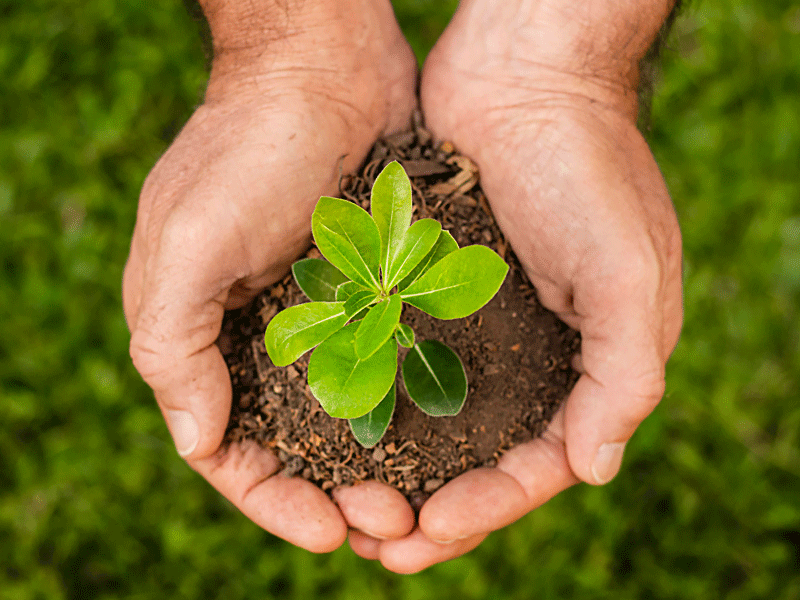 Adros Segurança Responsabilidade Ambiental